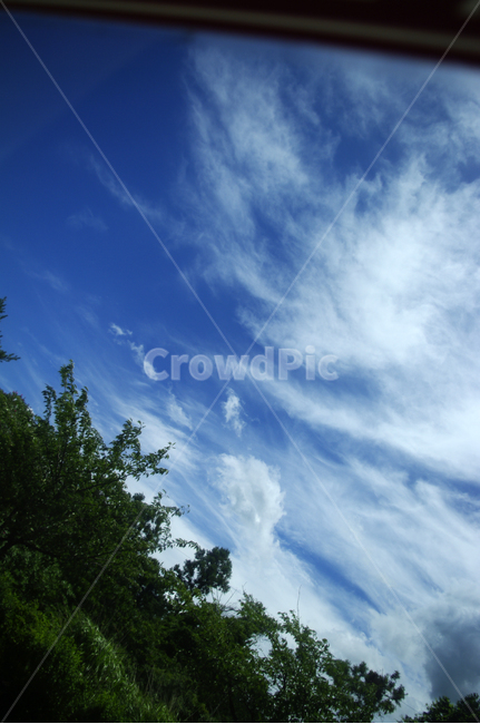 하늘,구름,나무,풍경,sky,blue,자연,풍경,nature,landscape,outdoors,옥외,azure sky,푸른 하늘