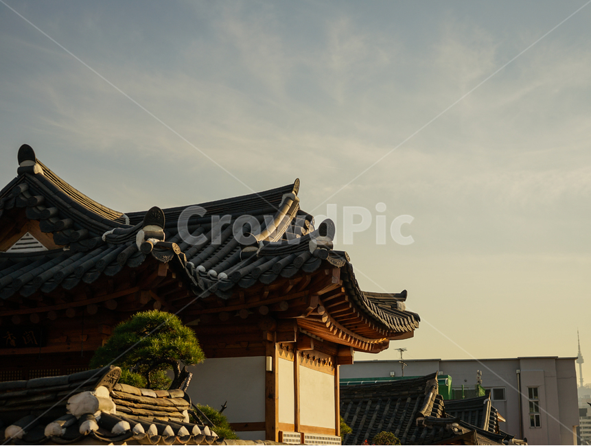 한옥,노을,소나무,하늘,구름,한국전통,한국문화,korean traditional,korean culture,건축물,건물외관,exterior,building,structure,architecture,construction