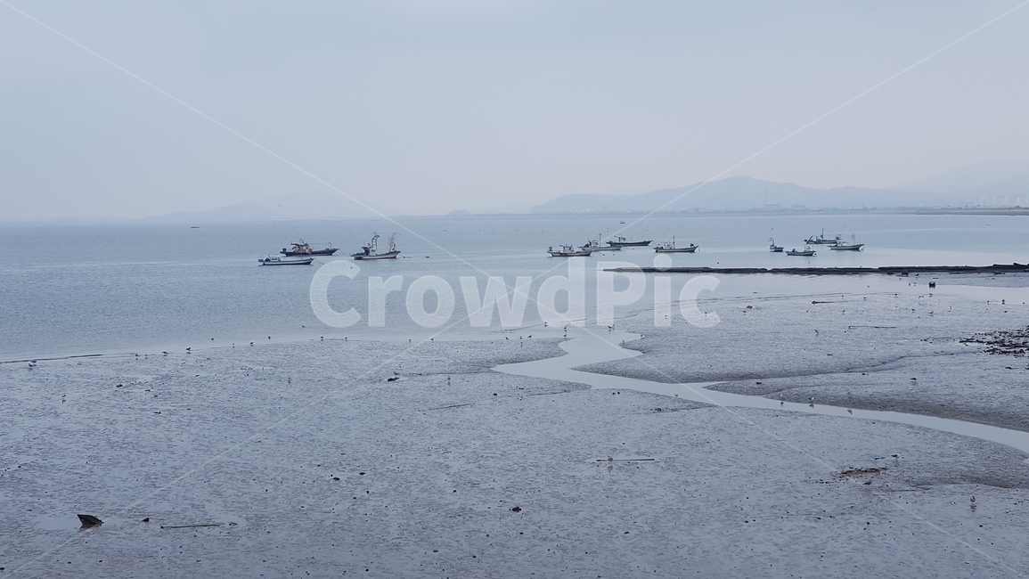 갯벌,서해안,서해바다,풍경,당진,삽교호,삽교,바다,어업,fishery,fishing industry