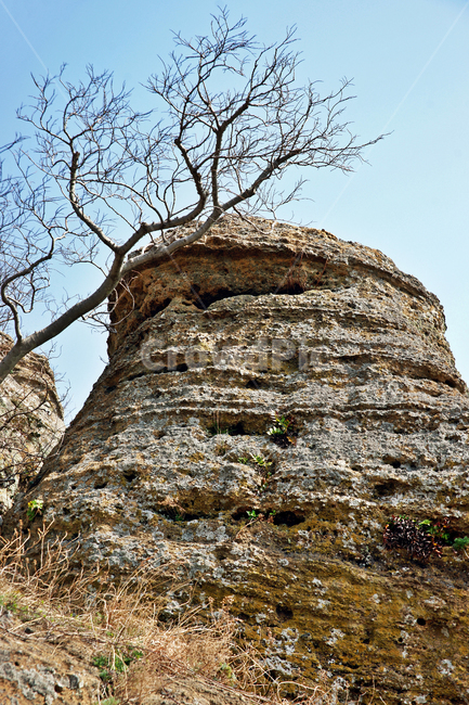 바굼지오름,단산,제주도,서귀포시,오름,바고미오름,바위,기암괴석,자연,풍경,nature,landscape
