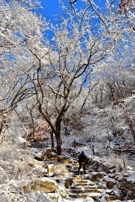 북한산,국립공원,설산,설경,눈,눈꽃,서울,도심지,명산,겨울,여행,국내여행,Seoul,Korea,National,Park,풍경,크리스마스,성탄절,화이트크리스마스,눈꽃풍경,비경,산행,등산,100대명산,기암,바위산,겨울,계절,winter,season,식물,자연,plants,nature,나무,trees,wood,사람,인물,인간,human,person,스포츠,레저,운동,sports,leisure,exercise