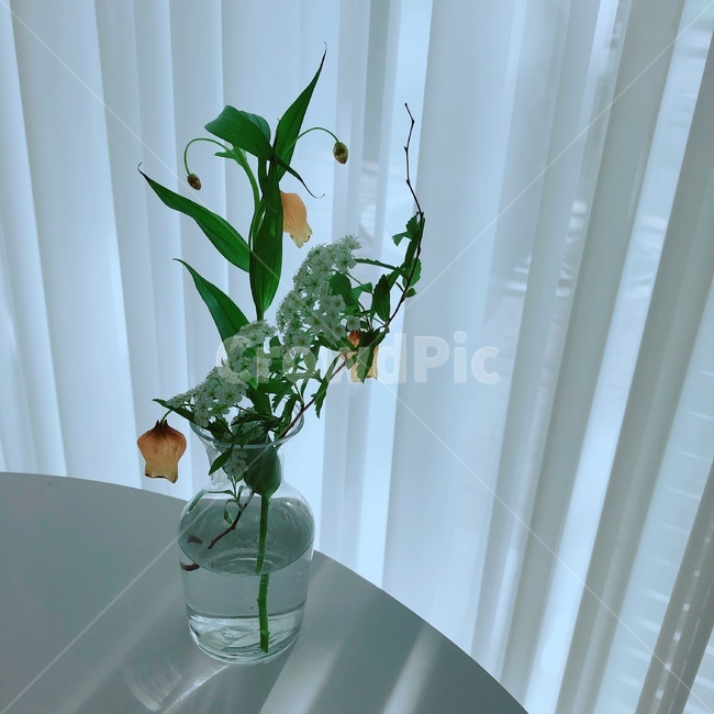 vase,병장식,blossom,art,미술,flowerarrangement,꽃꽂이,plant,식물,flower,꽃,식물,자연,plants,nature,꽃,flower