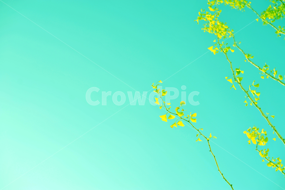 하늘,색,색감,감성,여백,봄,계절,spring,season