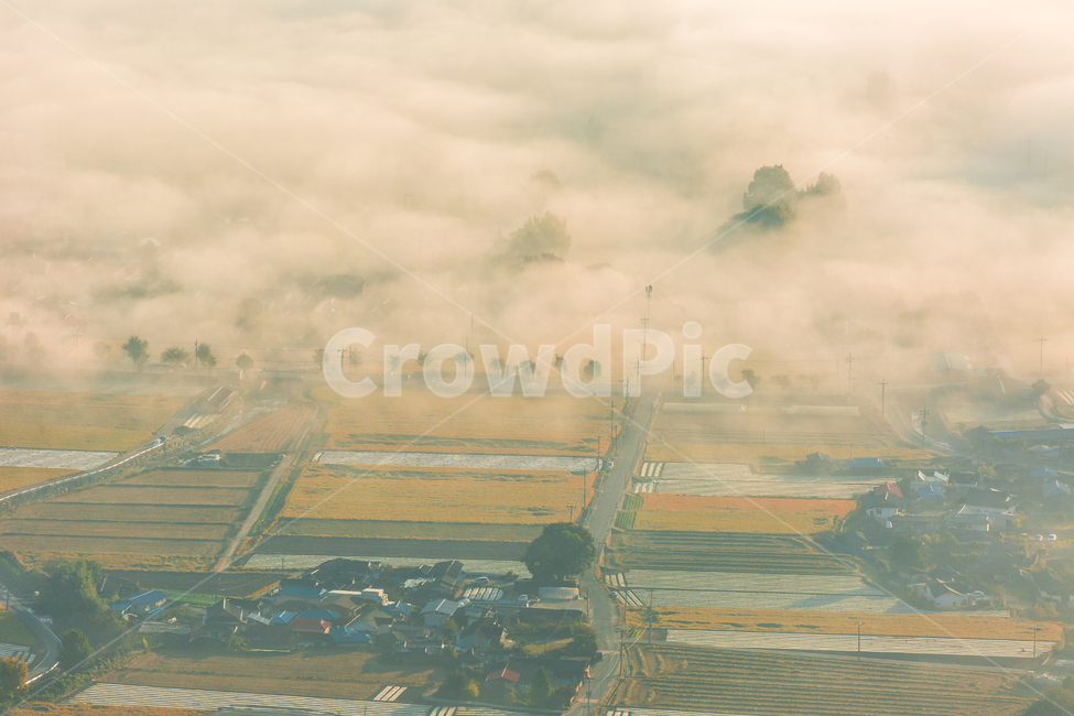 운해,들판,아침들판,안개,가을들판,자연,풍경,nature,landscape,시골,마을,country,rural,town,경치,outdoors,옥외,scenery