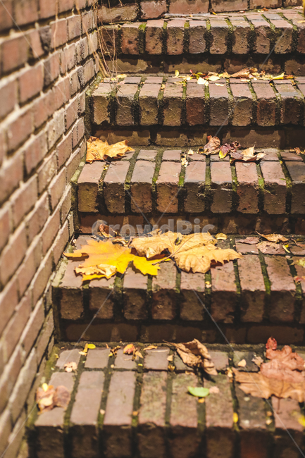 가을,단풍,계단,계절,감성,낙엽,그리움,고독한,가을,계절,fall,autumn,season,brick,벽돌