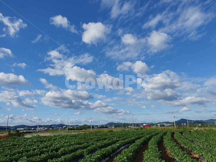자연,날씨,구름,하늘,sky,자연,풍경,nature,landscape