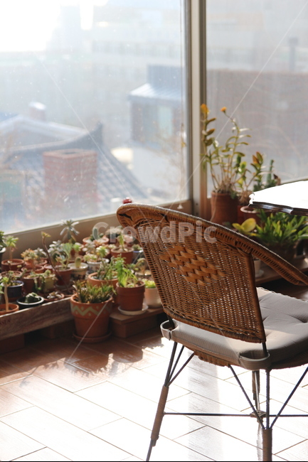 의자,카페,다육이,미니정원,분위기,감성,일상,창가,휴식,힐링,rest,relaxation,healing,인테리어,실내디자인,interior design