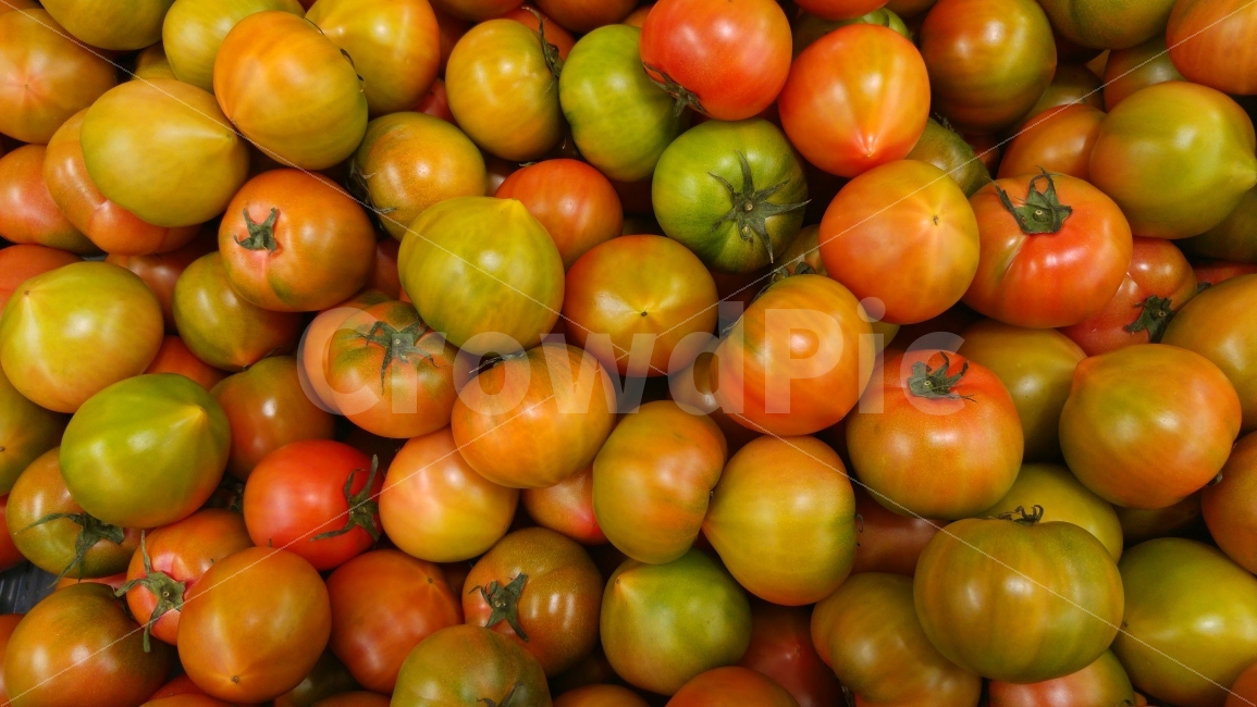 토마토,TOMATO,건강식품,제철과일,채소,열매,주황색,칼라풀,맛,미네랄,샐러드,야채,주스,스파게티,요리재료,쿠킹,영양만점,싱싱한,패턴,바탕,백그라운드,시안,디자인,콘텐츠,모바일,홈페이지,웹,전단,마케팅,마켓팅,홈쇼핑,마트,시장,청과물,잘익은,색감,칼라,SNS,EBOOK,COLORFUL,비타민,암예방,소화촉진,베타카로틴,소스,사라다,케찹,수프,생식,리코핀,쥬스,음식,식재료,요리,food,cook,meal,dishes,food reserves,채소,야채,vegetables