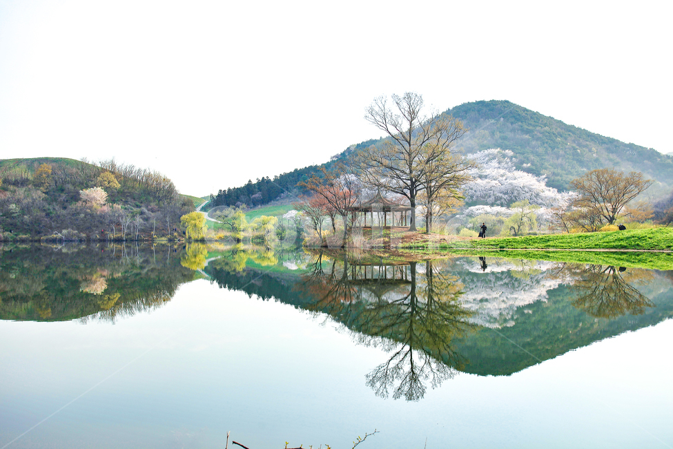 자연,서산,용비지,서산목장,풍경,자연,풍경,nature,landscape,한국자연풍경,한국자연경관,korea nature landscape