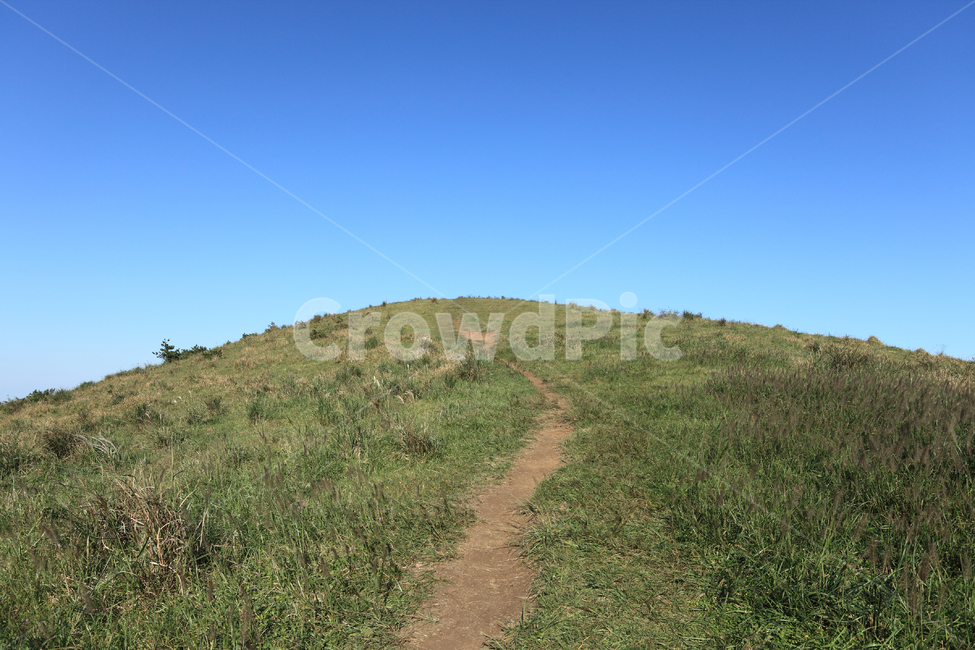 오름,산,자연,풍경,제주,제주도,길,산책,산책로,풀잎,식물,녹색,그린,오르막,오르막길,등산,등산로,하늘,배경,백그라운드,한국