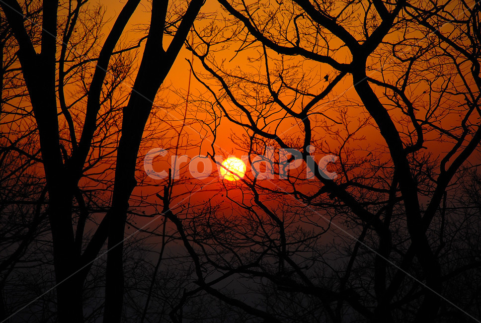 노을,일몰,자연,풍경,붉은노을,자연,풍경,nature,landscape,실루엣,그림자,silhouette,shadow,outdoors,옥외,sky,하늘,dusk,황혼,sunset,dawn,새벽,red sky,붉은 하늘