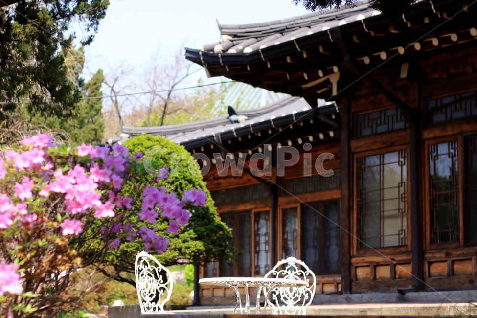 전통가옥,기와집,집,건물,고택,한국전통,한국문화,korean traditional,korean culture,건축물,건물외관,exterior,building,structure,architecture,construction