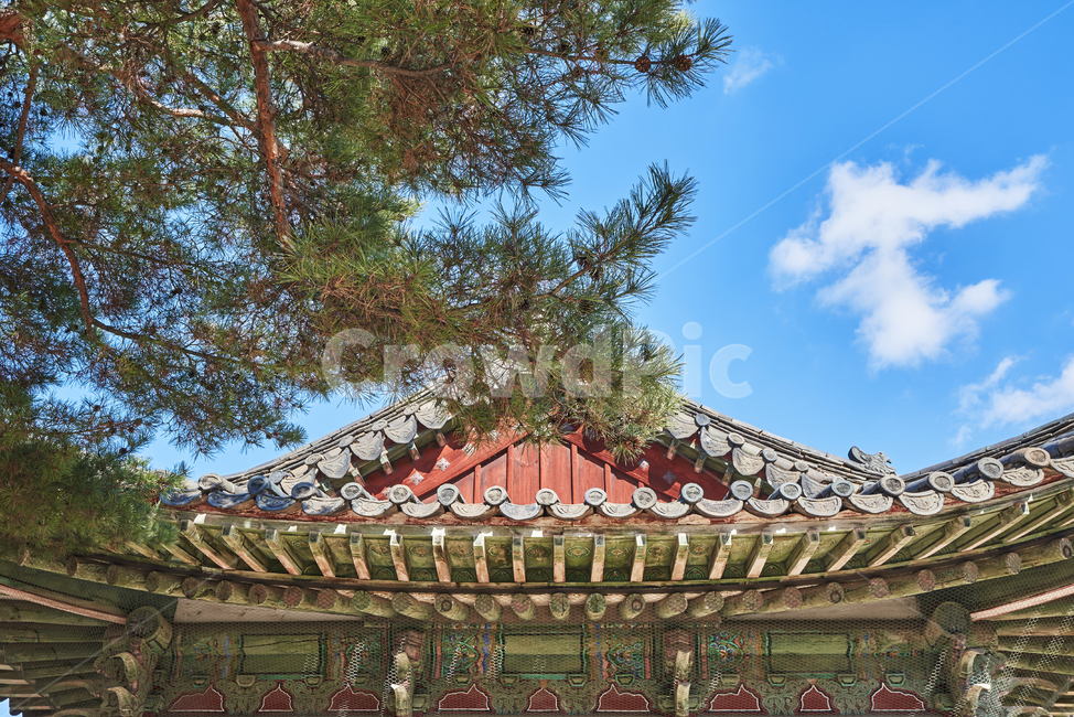 창경궁,한옥,궁궐,한국전통,고궁,랜드마크,기와