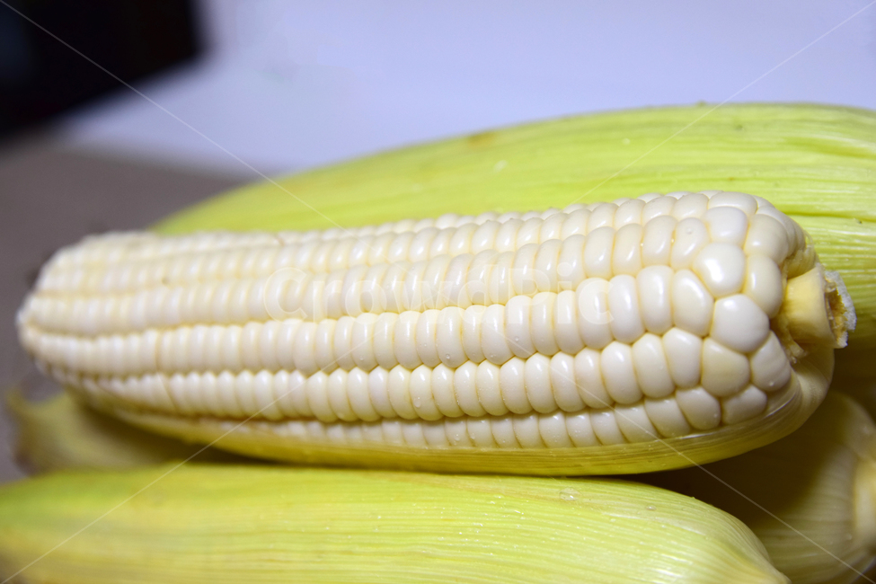 corn kernels,corner,corn husk,corn,corn leaves,Food Ingredients,corn cob husk,cone,food