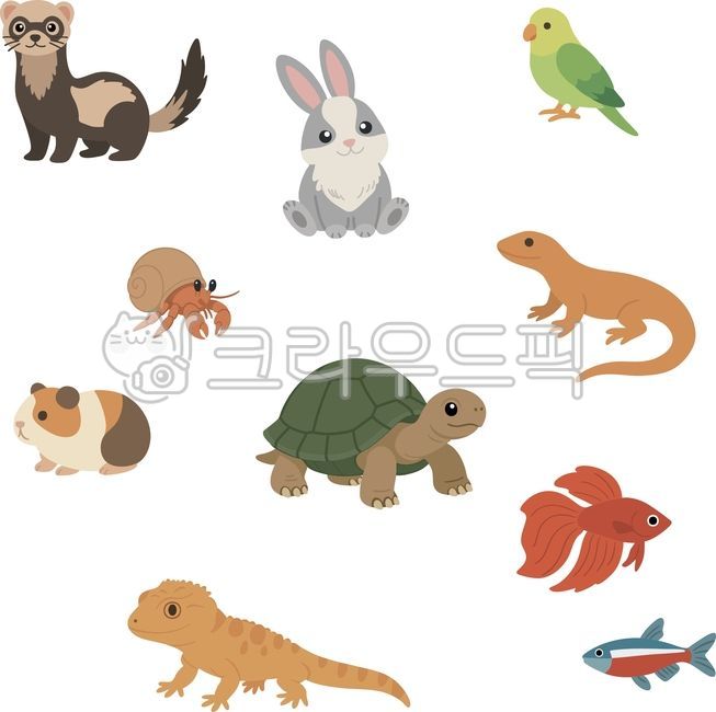 반려동물,동물세트,반려동물일러스트,귀여운동물,동물일러스트,소동물,파충류,토끼,페럿,기니피그,거북이,앵무새,열대어,베타,도마뱀,레오파드게코,비어디드래곤,귀여운캐릭터,동물아이콘,스티커소재,동물그림,일러스트요소,배경요소,디자인소스,동물모음,캐릭터디자인,소라게