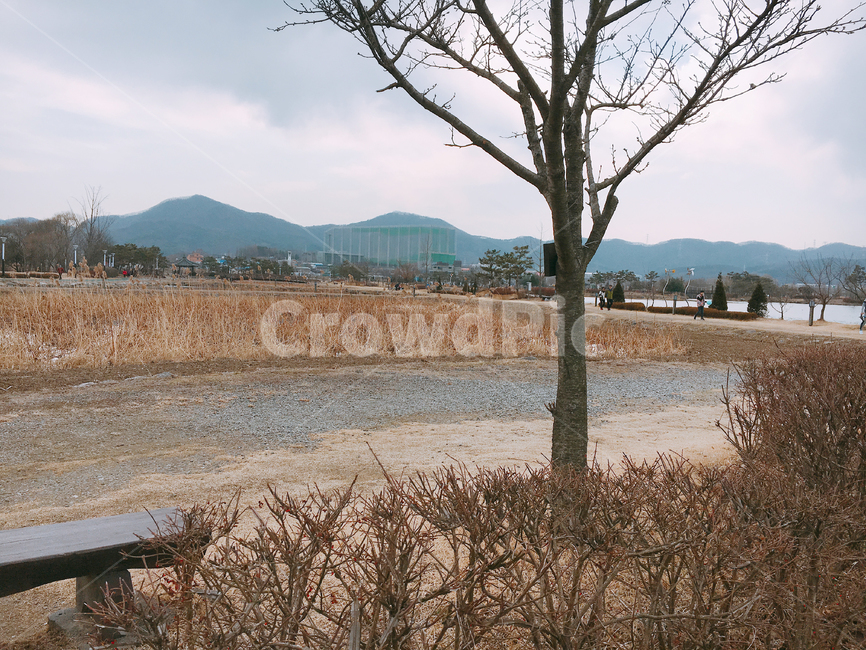 나무,벤치,풍경,산,구름,가을,계절,fall,autumn,season,자연,풍경,nature,landscape,tree,plant,식물,ground,바닥,tree trunk,나무 줄기