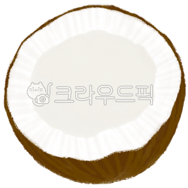 코코넛,코코넛그림,코코넛이미지,코코넛일러스트,코코넛단면