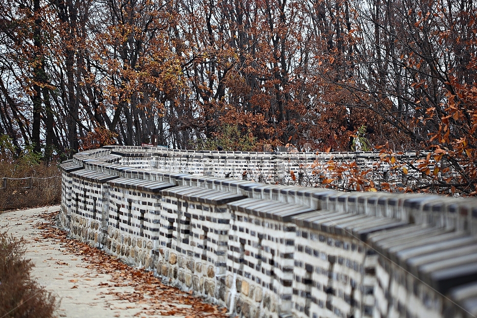 남한산성,성,성곽,단풍,낙엽,길,둘레길,숲,숲길,담돌담,가을,자연,풍경,벽,울긋불긋,산성,식물,가을,계절,fall,autumn,season