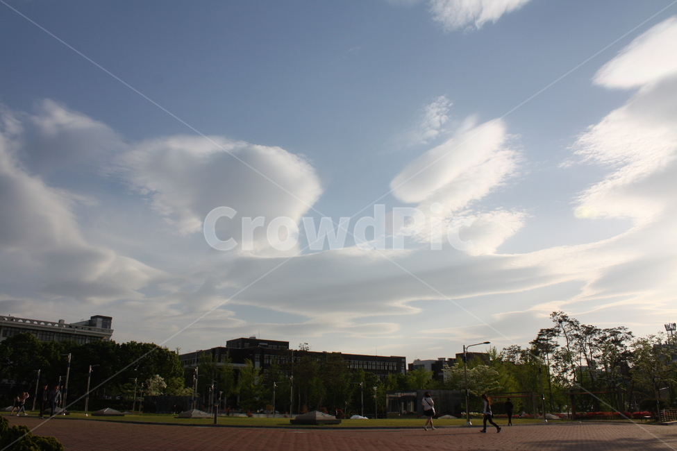 하늘,고요,평화,대학교,낮,자연,풍경,nature,landscape,outdoors,옥외