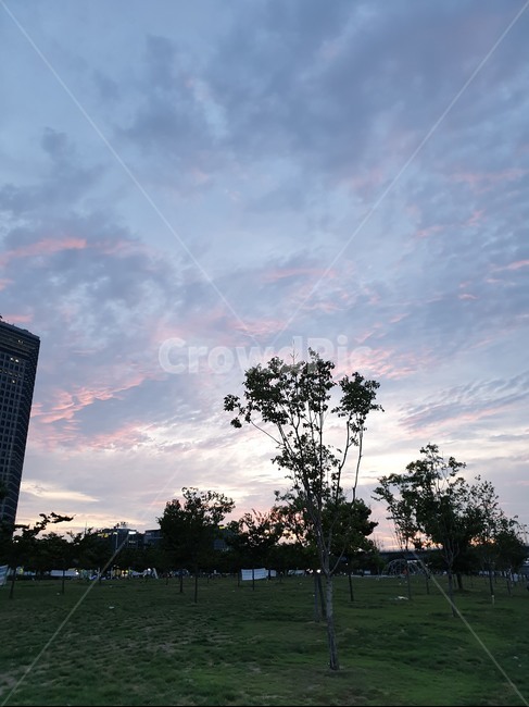 vehicle,바다,nature,자연,weather,날씨,flare,플레어,light,빛,sunlight,햇빛,outdoors,옥외,cumulus,적운,cloud,구름,sky,하늘,building,건물,officebuilding,사무실건물,나무,tree,노을