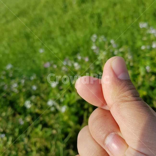 human,인간,person,사람,제주도,신체일부,몸,body