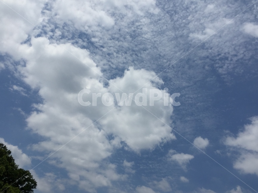 하늘,구름,흰구름,sky,cloud