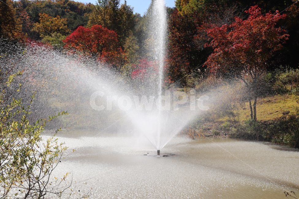 물,분수,호수,공원호수,분수대,가을,계절,fall,autumn,season,자연,풍경,nature,landscape,water