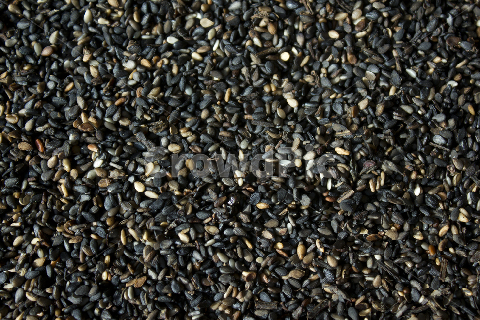 closeup,dry,dummy,food,grain,macro,meal,natural,nature,organic,plant,seed,seeds,sesame,sesameseed,sesameseeds,top,topangle,topview,깨,참깨,곡식,곡류,음식,음식재료,식재료,식물,씨앗,씨,말린,말리는,건조,자연,클로즈업,탑앵글,탑뷰,깨소금,농작물,농촌,농사,검정,블랙,검은색,black,검은깨,음식,식재료,요리,food,cook,meal,dishes,food reserves,곡류,곡식,cereals