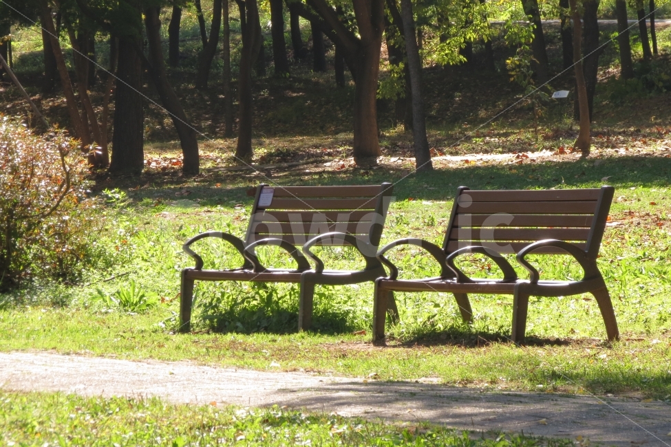 가을,벤치,의자,잔디,나무,햇살,여유,여유로움,따스함,fall,autumn,가을햇살,bench,tree,grass,양재시민의숲,양재천,sunshine,캐논SX40,CanonSX40,CanonSX40HS,휴식,힐링,rest,relaxation,healing