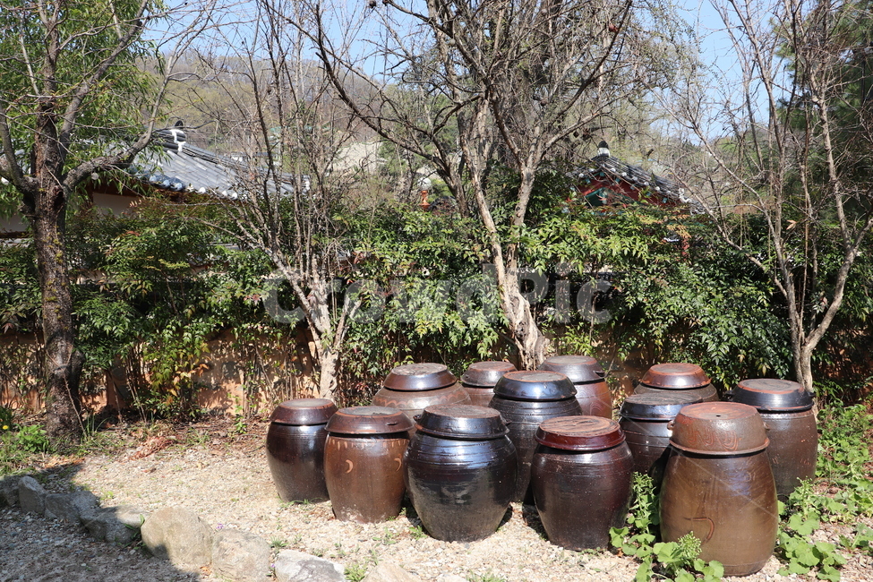전주,전주한옥마을,봄,전통한옥,대한민국