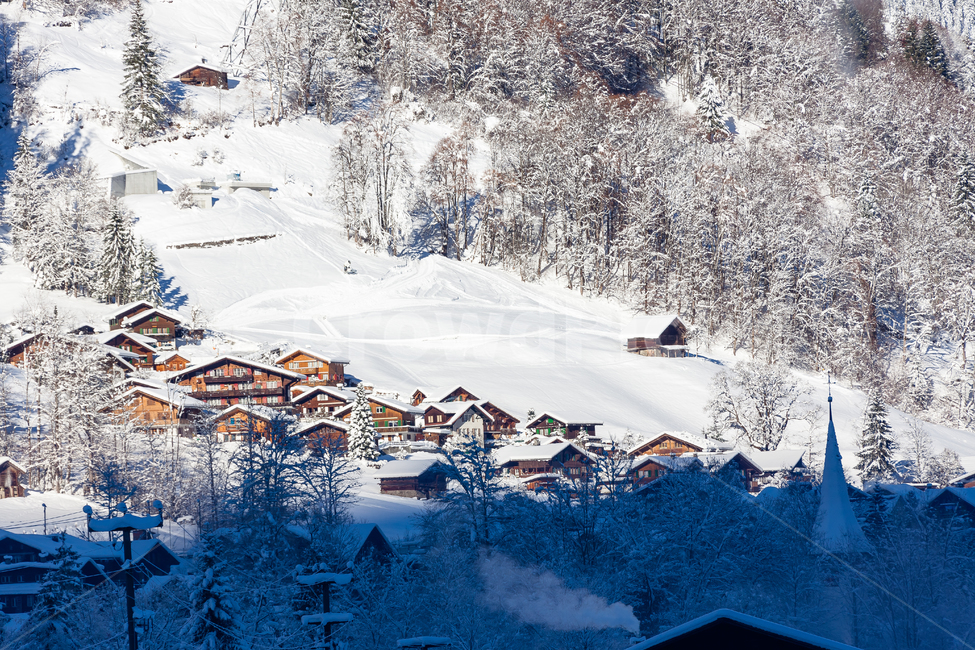 스위스,겨울,알프스산맥,눈덮인,건물,얼음,눈,산,겨울,계절,winter,season,자연,풍경,nature,landscape,해외,외국,세계,foreign,oversea,world,세계자연풍경,해외자연풍경,외국자연풍경,world nature landscape,outdoors,옥외,tree,나무,plant,식물,abies,아비,fir,전나무