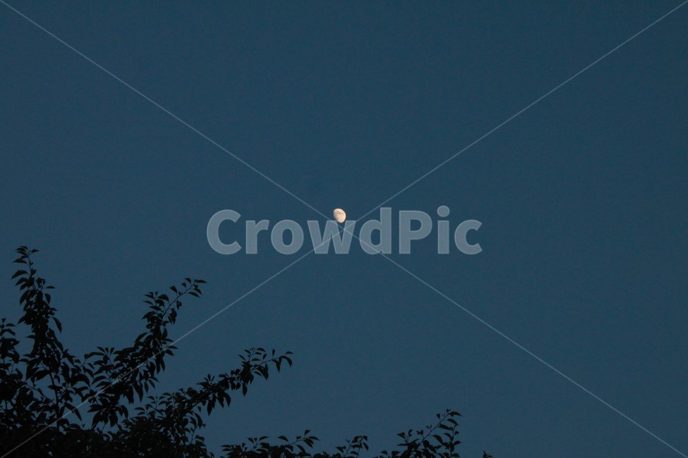 달,moon,하늘,sky,밤,야경,밤,풍경,nightscape,night,landscape,nature,자연,outdoors,옥외