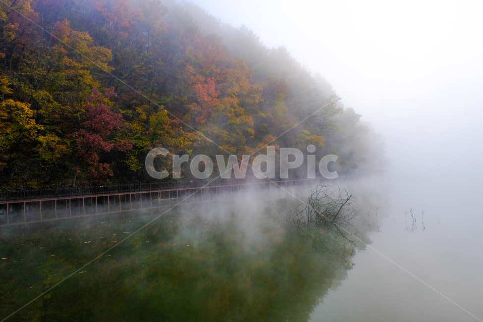 자연,풍경,나무,안개,물,반영,물안개,가을,계절,fall,autumn,season,자연,풍경,nature,landscape,weather,날씨,outdoors,옥외