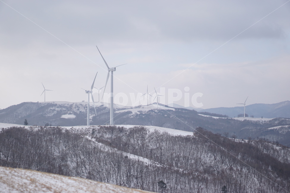 대관령,눈,자연,풍력발전기,snow,winter,산,설원,강원도,겨울,계절,winter,season,자연,풍경,nature,landscape,산업,industry,industrial,에너지산업,energy industry
