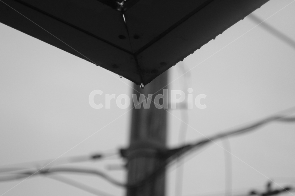 봄,골목,기억,옛생각,봄비,비,비오는날,rain,rainy,흑백,모노톤,monochrome,black and white