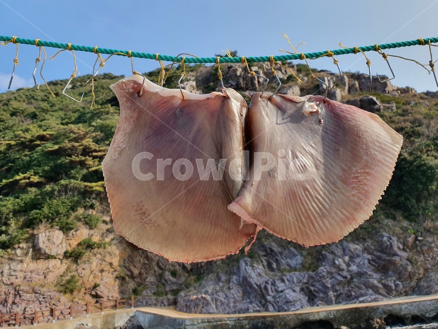 홍어,홍탁,말린생선,홍어귀,홍도,흑산도,수산물,해산물,fishery products,seafood