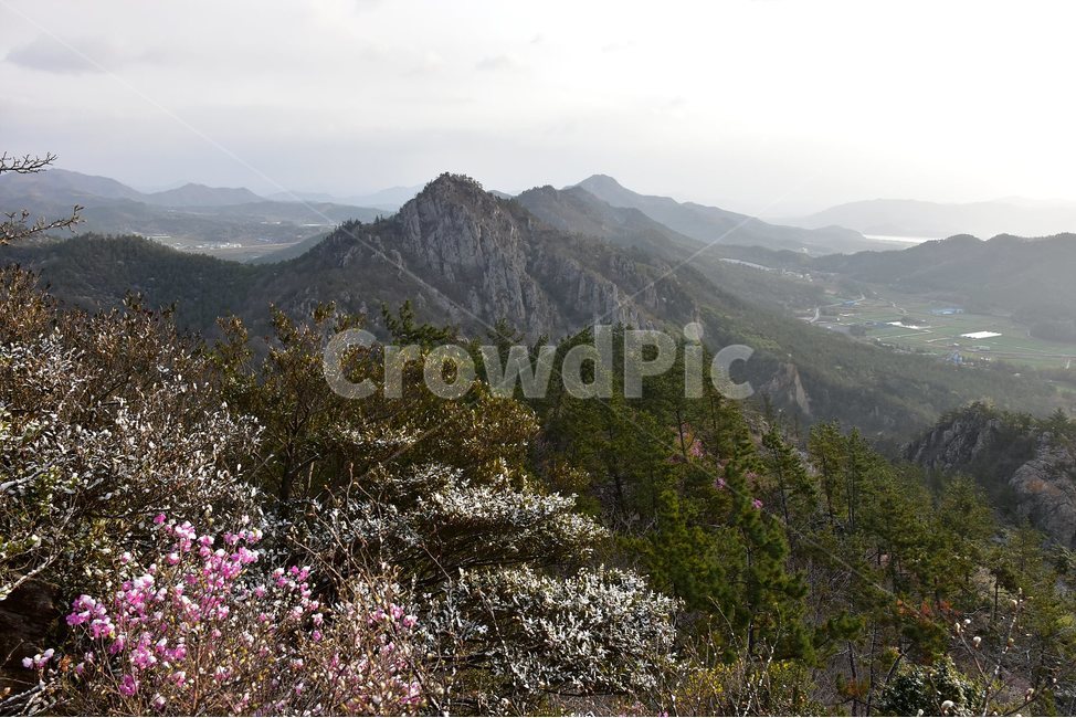 주작산,덕룡산,종주,진달래,풍경,기암,바위,비경,봄풍경,진달래꽃,강진,명산,산행,등산,마운틴,힐링,mountain,landscape,자연,natural,봄,계절,spring,season,자연,풍경,nature,landscape,한국자연풍경,한국자연경관,korea nature landscape,산,mountain range,산맥,outdoors,옥외,abies,아비,tree,나무,fir,전나무,plant,식물
