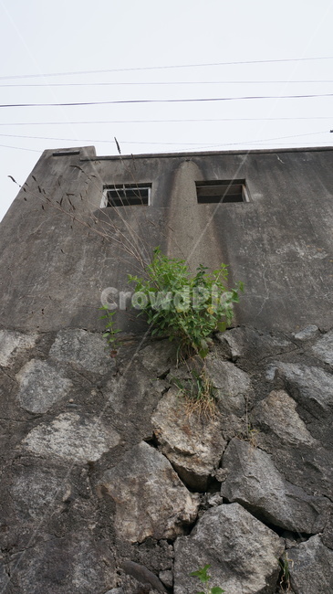 생명,감성사진,bunker,벙커,building,건물