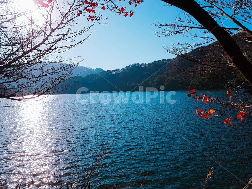 가을,단풍,강,풍경,산,가을,계절,fall,autumn,season,nature,자연,water,물,outdoors,옥외