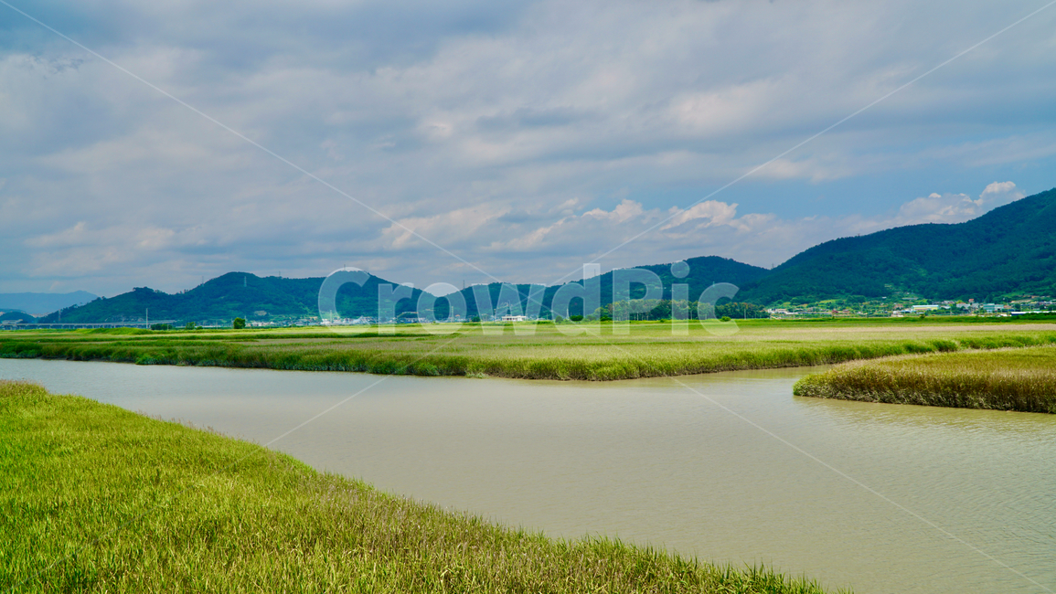 nature,자연,들,grassland,순천만,습지,강,자연공원,갈대밭,하늘,자연,풍경,nature,landscape