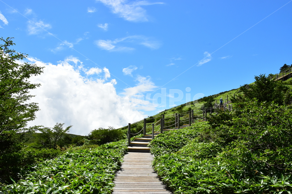 영실,한라산,제주,절경,자연,풍경,힐링,여름,계절,탐방,등산,남벽,윗세오름,season,nature,landscape,한국자연풍경,한국자연경관,korea,naturelandscape,제주도,jeju,jejuisland,옥외,outdoors,자연,풍경,nature,landscape,한국자연풍경,한국자연경관,korea nature landscape,제주도,jeju,jeju island
