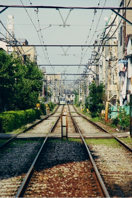 토덴,전철,기차,철도,일본,toden,도쿄,train,japan,tokyo,노면,노면열차,열차,rail,railroad,도시,풍경,city,landscape,해외,외국,세계,foreign,oversea,world,세계도시풍경,해외도시풍경,외국도시풍경,world cityscape,교통,교통수단,traffic,transportation,레일,railway,train track,기찻길
