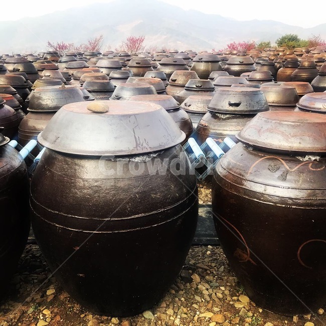 pottery,옹기,장독,정렬,장독대,반복,토기,패턴,도기류,한국전통,한국문화,korean traditional,korean culture