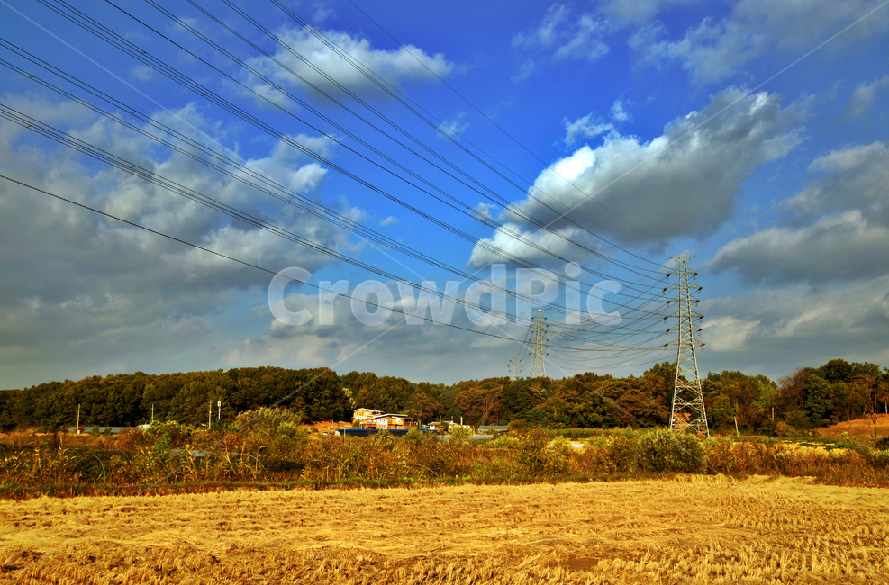 벼,쌀,농사,전원,송전탑,자연,푸른하늘,구름,흰구름,시골,마을,풍경,landscape,country,rural,town