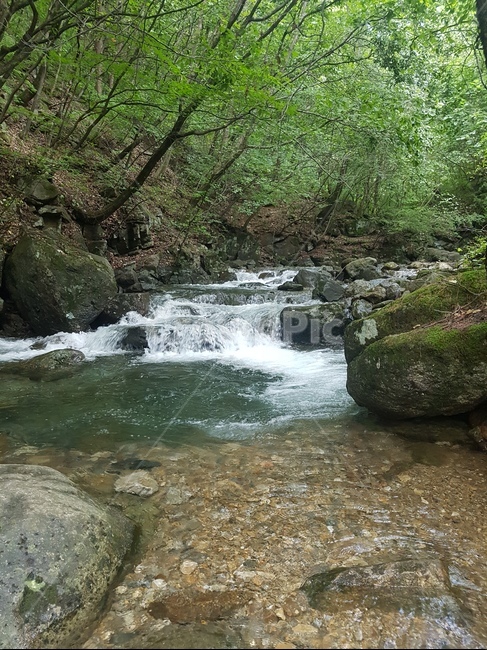 원주,용수골,계곡,휴양림,등산