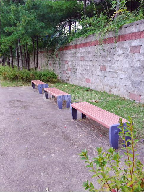 벤치,공원,숲,의자,정원,힐링,산책,나무,여유,자연,풍경,nature,landscape,park bench,공원 벤치,bench