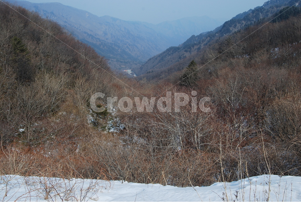 wind noise,mountains,ecosystem,Sogeumgang River,scenery,mountaineering,trees,healing,100 famous mountains,Korean famous mountain,season,land,Gangwon,Korea,sky,nature,hiking,Noinbong Peak,environment,emotion,Korean mountain climbing,snow,Odaesan Mountain,t