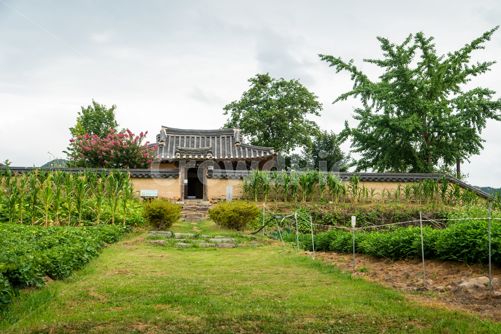 안동,하회마을,민속마을,전통,세계문화유산,자연,풍경,nature,landscape,한국전통,한국문화,korean traditional,korean culture,건축물,건물외관,exterior,building,structure,architecture,construction,outdoors,옥외,garden,정원,arbour,정자