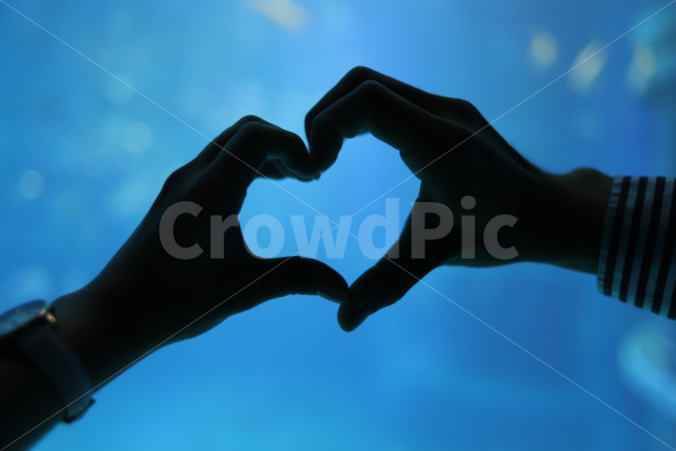연인,하트,수족관,파랑,커플,사람,인물,인간,human,person,연인,커플,사랑,lover,couple,감정표현,기분,feeling,emotion,인물실루엣,사람실루엣,character silhouette,human silhouette,연출,컨셉,콘셉,direction,concept,hand,손