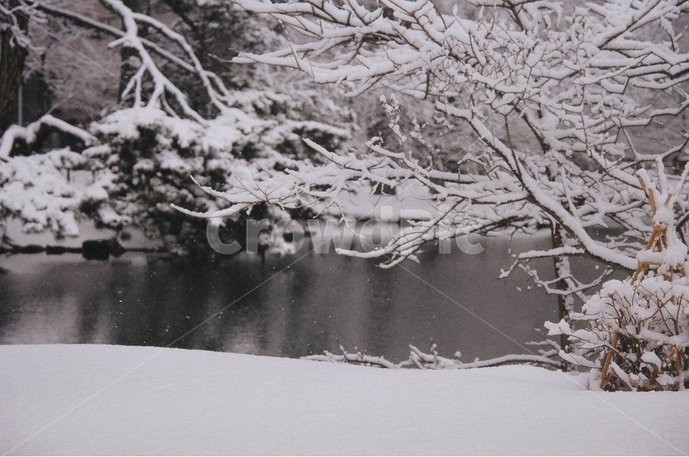 겨울,눈,풍경,필름카메라,삿포로,바다,시내,필카,겨울,계절,winter,season